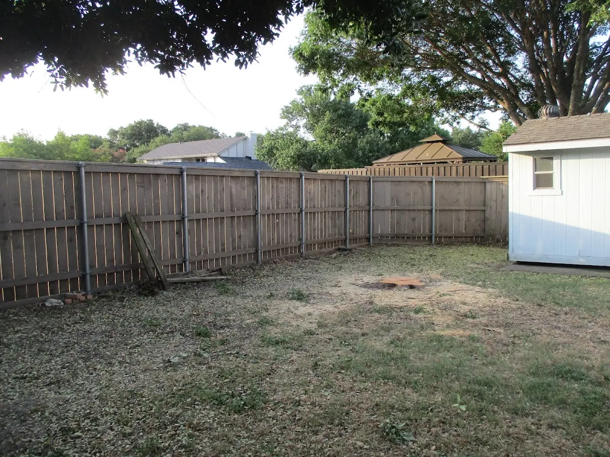 Cleared yard after professional tree removal in Crystal City